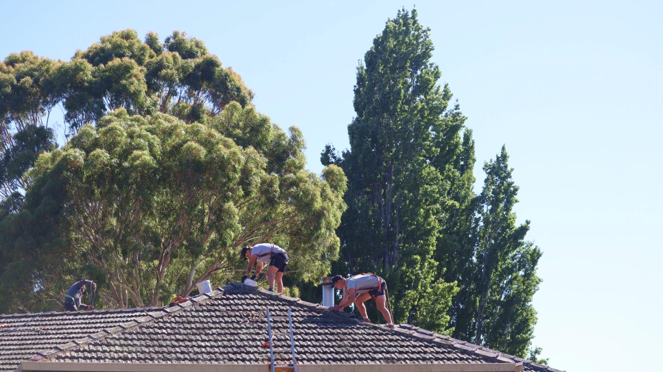 Two roofers work on a house rooftop under a clear blue sky, surrounded by tall trees. Tools and materials scattered around them.